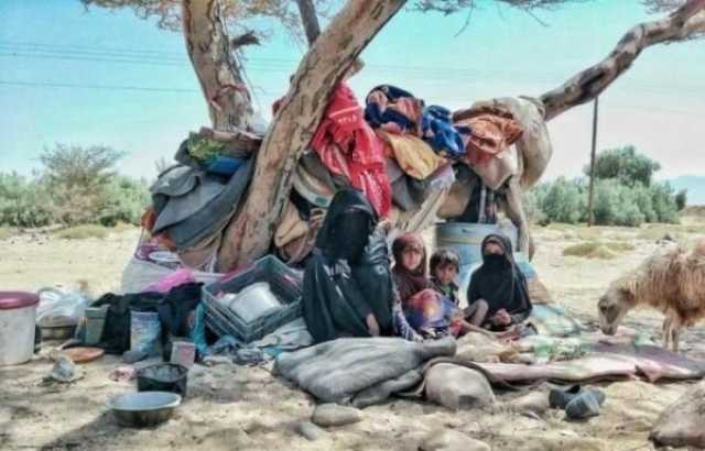 الهجرة الدولية: نزوح 22 أسرة يمنية خلال أسبوعين جميعها نزحت نحو مأرب