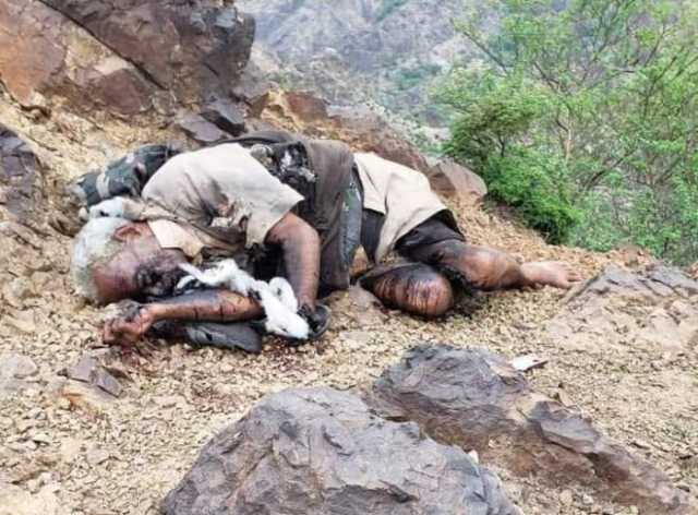 ذمار.. رعاة أغنام يعثرون على مواطن مقتول في مديرية وصاب