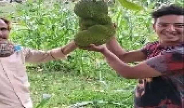 صور لأفخم حمام عام في العالم.. كأنه قصر