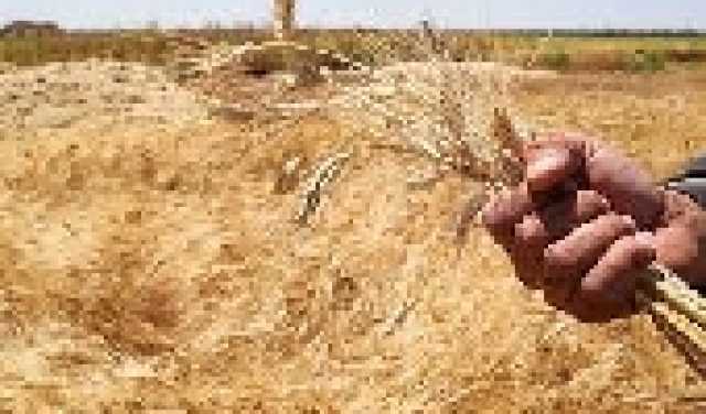 تقرير يتحدث عن مادة ستفقد أمريكا عرش تصديرها إلى الأبد