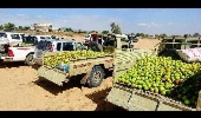 ارتفاع أسعار القمح مع وجود علامات على تزايد الطلب العالمي على الحبوب