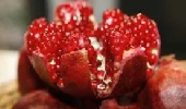 فوائد اللبان الدكر للمعدة والجهاز الهضمي