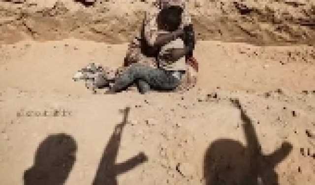 ترامب يعلن التوصل إلى اتفاقات مع الرئيس الصيني