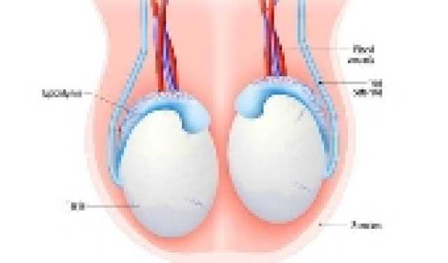 احذر صمت القلب.. أعراض خفية قد تنذر بمرض خطير يهدد الحياة