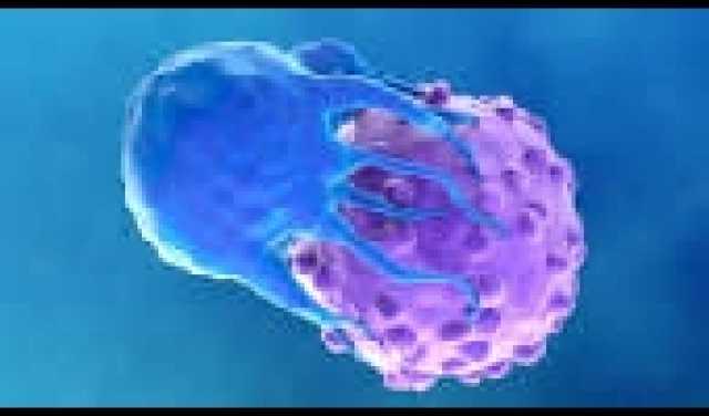 اختراق طبي يكشف الأسرار المظلمة وراء فقدان الحمل المتكرر