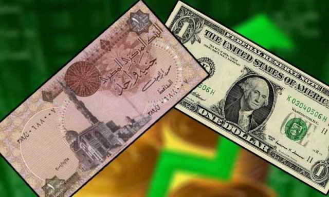 تعويم الجنيه المصري أمام الدولار.. ما هي التأثيرات المحتملة على اقتصاد القاهرة؟