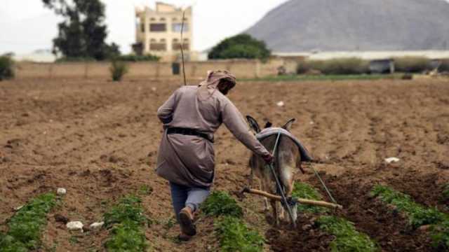 توقعات بوفاة 120 ألف يمني وخسارة بمليارات الدولارات لأسباب صادمة لم تكن في الحسبان