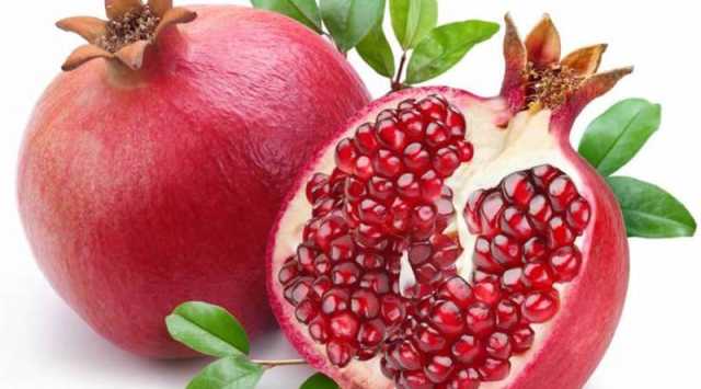 تناول فاكهة الرمان يحمي من مرض الزهايمر