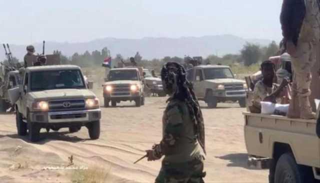 صيد ثمين في قبضة قوات ‘‘دفاع شبوة’’