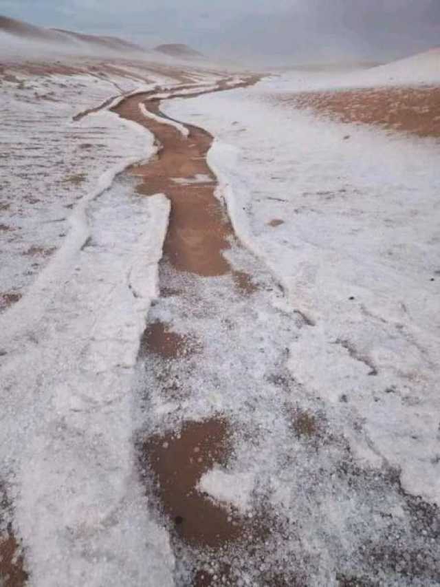 النازحون يستغيثوا من الأمطار الغزيرة التي اقتلعت خيامهم في الجوف