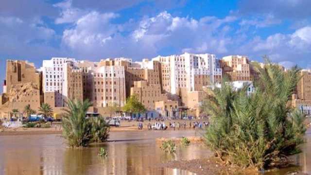 جريمة مروعة تهز شبام: مسلحون قبليون يردون بائع قات قتيلاً!
