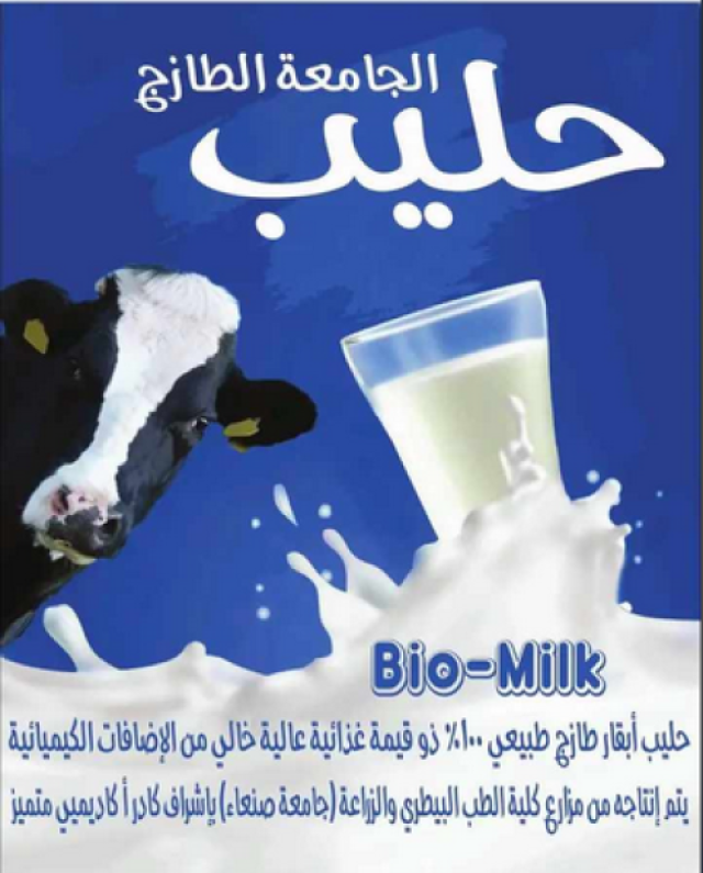 ”حليب الجامعة ” .. الحوثيون يحولون جامعة صنعاء إلى حظيرة للأبقار ولإنتاج وبيع اللبن والزبدة