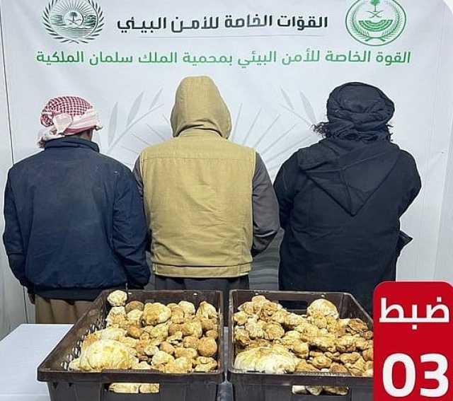 ضبط 3 مواطنين لارتكابهم مخالفة دخول محمية الملك سلمان الملكية دون تصريح