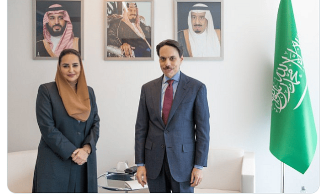 وزير الخارجية يلتقي الأمين العام لمنظمة التعاون الرقمي على هامش اجتماعات «دافوس»