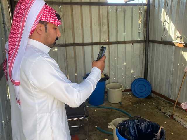 ضبط مسلخ عشوائي مخالف في شمال الطائف