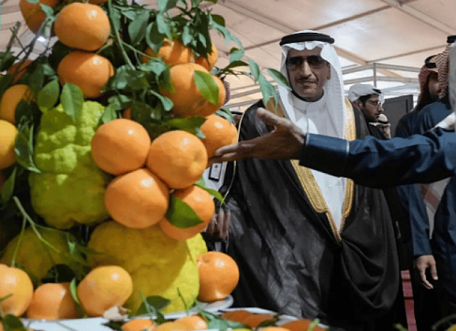 انطلاق مهرجان الحمضيات الثامن بالحريق