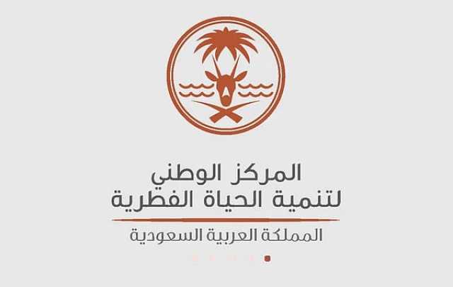 باحثة بـ'الحياة الفطرية': نقل الحيوانات لسياج محمية نيوم لضمان تكيفها مع البيئة الجديدة