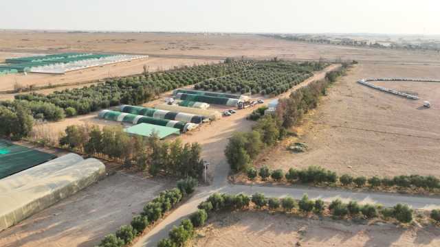 هيئة تطوير محمية الملك سلمان بن عبدالعزيز الملكية تزرع مليون شتلة محلية بالتعاون مع 'تنمية الغطاء النباتي'