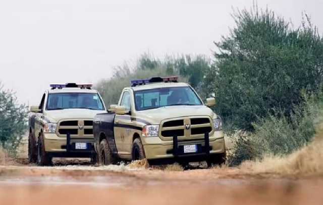 «الأمن البيئي»: ضبط مخالفا لبيعه حطبًا محليًا في المنطقة الشرقية
