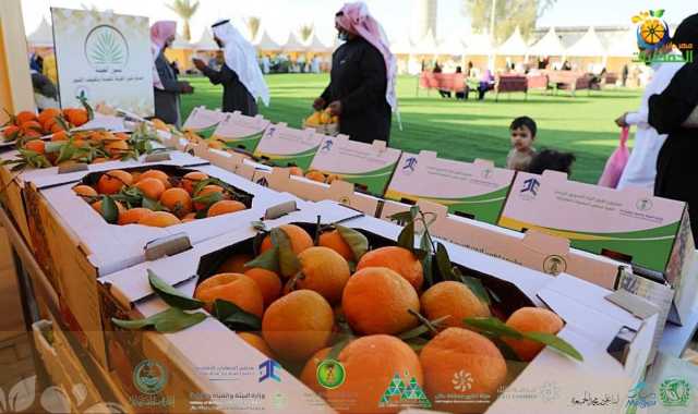 مهرجان 'حمضيات حائل' يختتم فعالياته وسط حضور كثيف