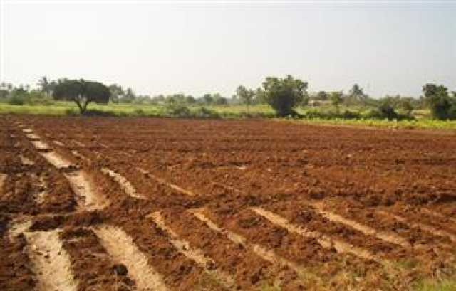 زراعة الشيوخ: منح كارت الفلاح لأراضي الـ 1.5 مليون فدان خطوة مهمة لتحقيق الأمن الغذائي