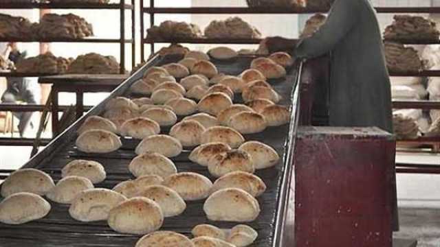 رئيس شعبة المخابز يكشف حقيقة غلق المخابز البلدية