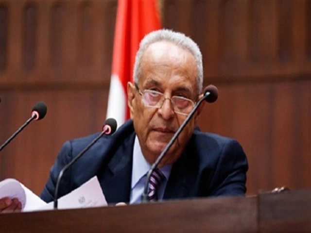 وكيل مجلس الشيوخ: 30 يونيو فرّقت بين الحق والباطل