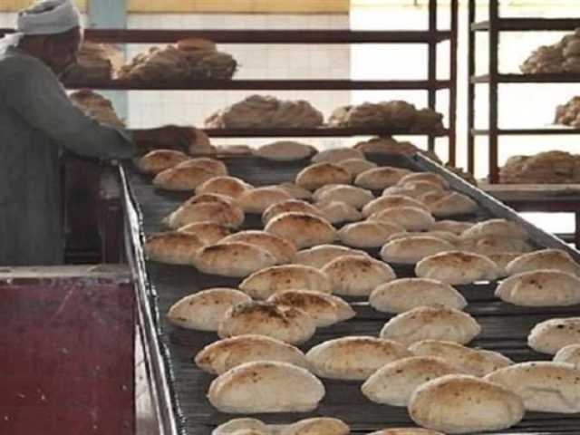 شعبة المخابز تكشف أسباب زيادة أسعار الرغيف السياحي