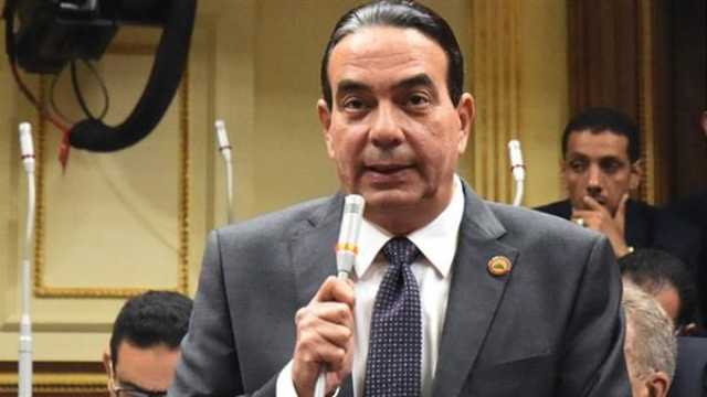 برلماني: علينا توثيق جرائم الاحتلال الإسرائيلي قبل تقديمهم للمحاكمة