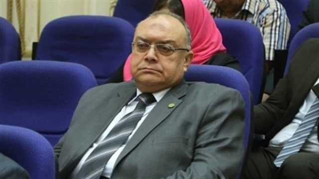 انتخابات الرئاسة.. نقل النواب: مشاركة المصريين بالخارج تؤكد ثقتهم في مؤسسات وقيادة الدولة