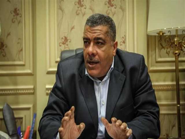 الصناعة قادرة على سداد ديون مصر.. وكيل صناعة النواب: الحكومة تعمل في جزر منعزلة