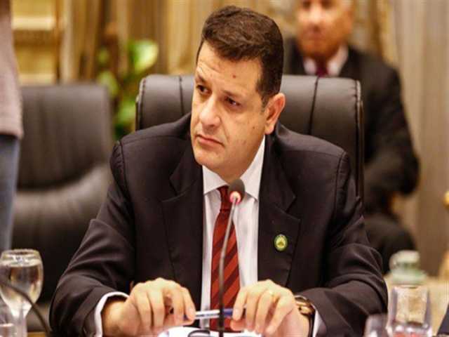 رئيس حقوق الإنسان بالبرلمان: مفوضية مكافحة التمييز تقوم بدور أمين المظالم