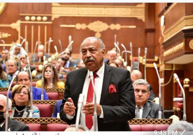 برلماني: فوز الرئيس السيسي تجديد لتمسك الشعب المصري بطريق 30 يونيو
