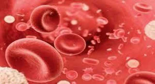 أنيميا الفول.. ما الأطعمة الواجب تجنبها والعلاج المتبع؟