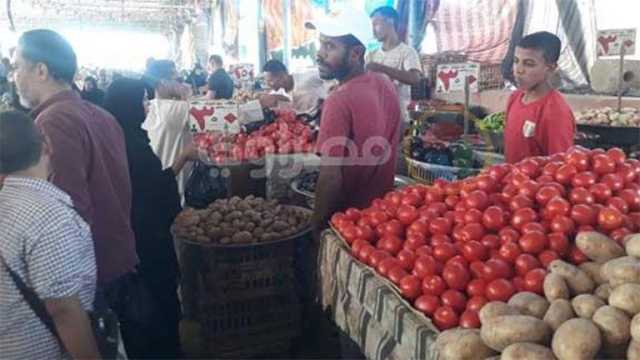 الزراعة تكشف موعد انخفاض أسعار الخضروات في الأسواق