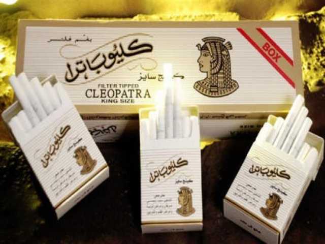 كليوباترا بـ31 جنيهًا.. شعبة الدخان تكشف أسباب ارتفاع أسعار السجائر والمعسل