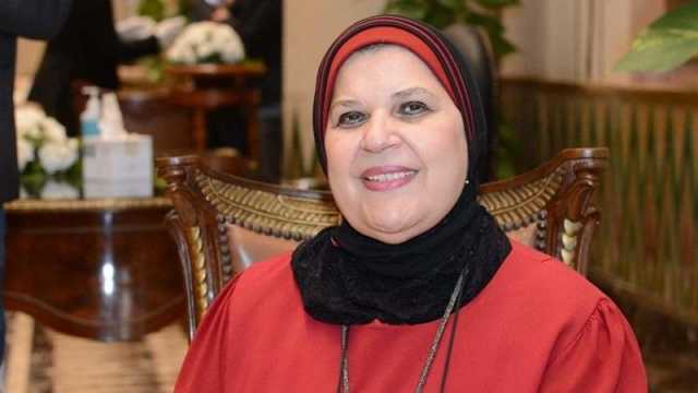 يروجون الأكاذيب.. برلمانية تستنكر تقرير البرلمان الأوروبي