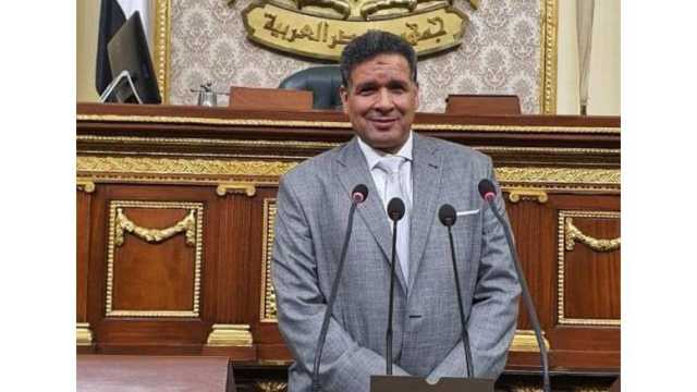 مشيدًا بصمود الفلسطينين.. برلماني يطالب المجتمع الدولي بوقف الجرائم الإسرائيلية