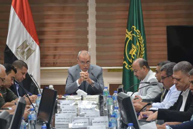 القليوبية تستعد للانتخابات الرئاسية بـ 366 مقرًا انتخابيًا و484 لجنة فرعية