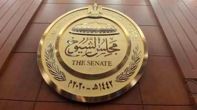 أنتم سفراء الوطن.. وكيل الشيوخ يدعو المصريين في الخارج إلى الاحتشاد والمشاركة في انتخابات الرئاسة