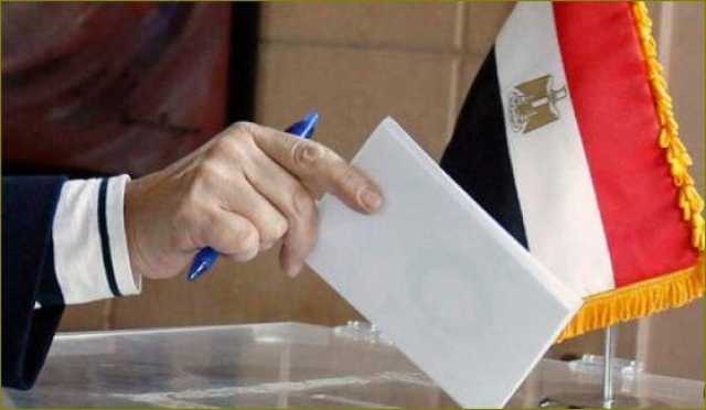 تنسيقية الشباب: 3 آلاف متطوع باللجان استعدادا للانتخابات الرئاسية بالداخل