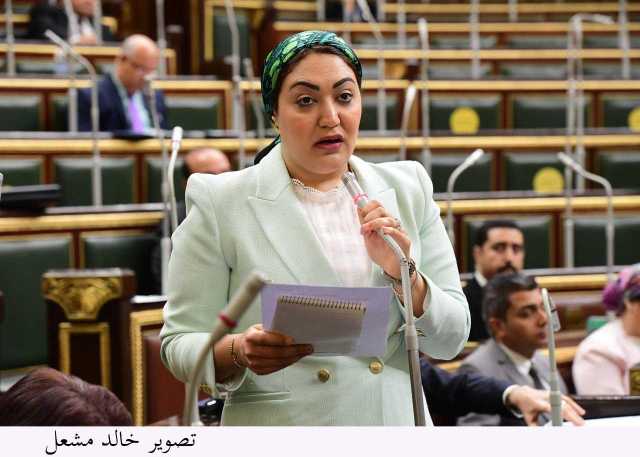 برلمانية: عودة الحوار الوطني بعد الانتخابات الرئاسية دعم جديد للحياة الحزبية