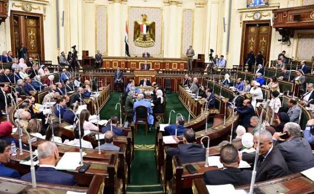 برلماني: محطات الطاقة الشمسية بقرى حياة كريمة تسهم في مواجهة انقطاع الكهرباء