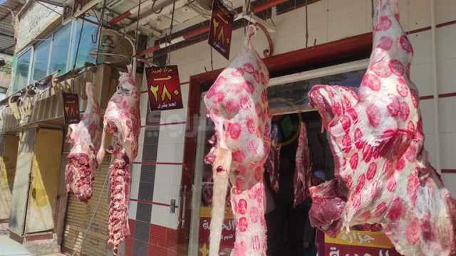 شعبة القصابين: أسعار اللحوم البلدي تصل لـ450 جنيها للكيلو