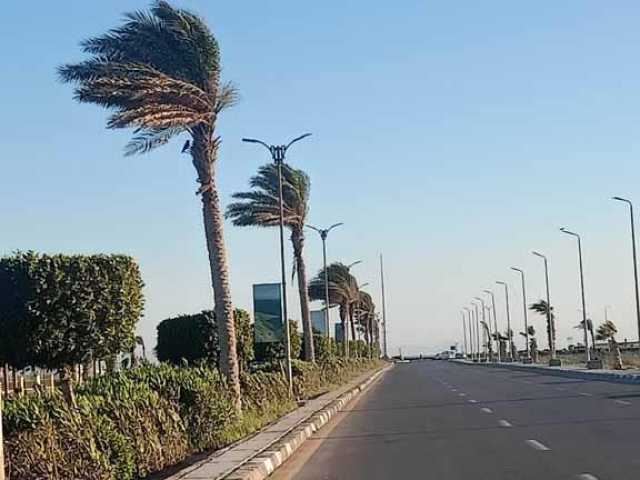 نشاط رياح واضطراب ملاحة.. الأرصاد تكشف تفاصيل الطقس حتى نهاية أغسطس