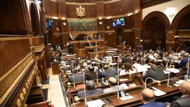 كل شرفاء العالم معكم.. برلماني يشيد بصمود الشعب الفلسطيني في وجه الاحتلال