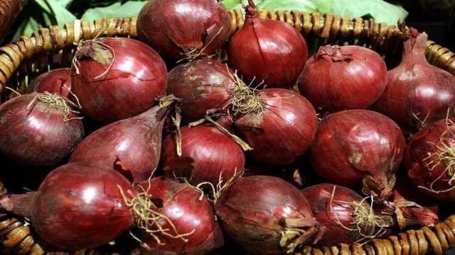 بمتوسط 20 جنيها.. لماذا تواصل أسعار البصل ارتفاعها؟