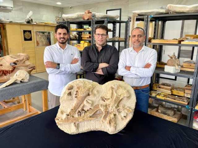 عاشت منذ 41 مليون سنة في مصر.. أستاذ حفريات يكتشف نوع جديد من الحيتان المنقرضة