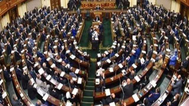 برلماني: حرصت على تزكية الرئيس السيسي بسبب نجاحاته الكبيرة