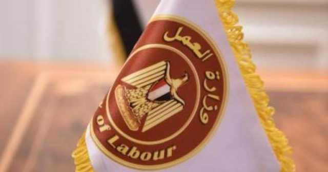 العمل تدعو العاملين بالمنشآت التعليمية لندوة توعية بالمركز القومي للسلامة والصحة المهنية